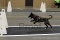 IMG_0840