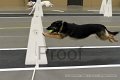 IMG_0844
