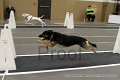 IMG_0846