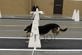 IMG_0847