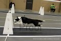 IMG_0851