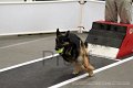 IMG_0859