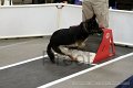 IMG_0861
