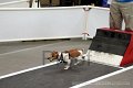 IMG_0866