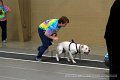 IMG_0876
