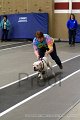 IMG_0883