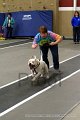 IMG_0884