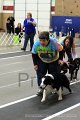 IMG_0885