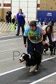 IMG_0886