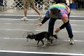 IMG_0888
