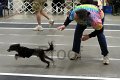 IMG_0889
