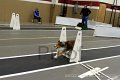 IMG_0909