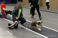 IMG_0919