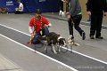 IMG_0921