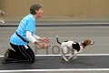 IMG_0956