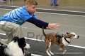 IMG_0959