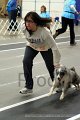 IMG_0969