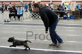IMG_0976