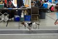 IMG_0979