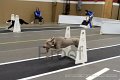 IMG_0995
