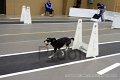 IMG_1008