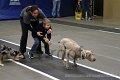 IMG_1019