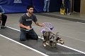 IMG_1020