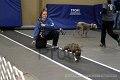 IMG_1022