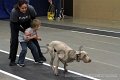 IMG_1025