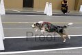 IMG_1041
