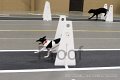 IMG_1048