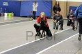 IMG_1063