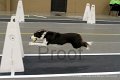 IMG_1088