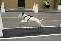 IMG_1130
