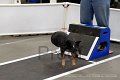 IMG_1139
