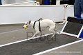 IMG_1142