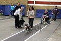IMG_1144