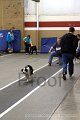 IMG_1152