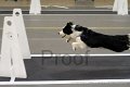 IMG_1161