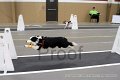 IMG_1170