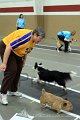 IMG_1181
