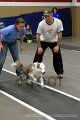 IMG_1195