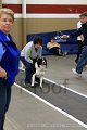 IMG_1197