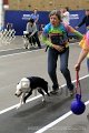 IMG_1206