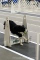 IMG_1214