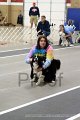 IMG_1216