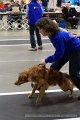 IMG_1224