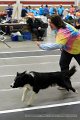 IMG_1228