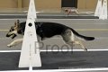 IMG_1250