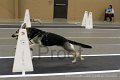 IMG_1263